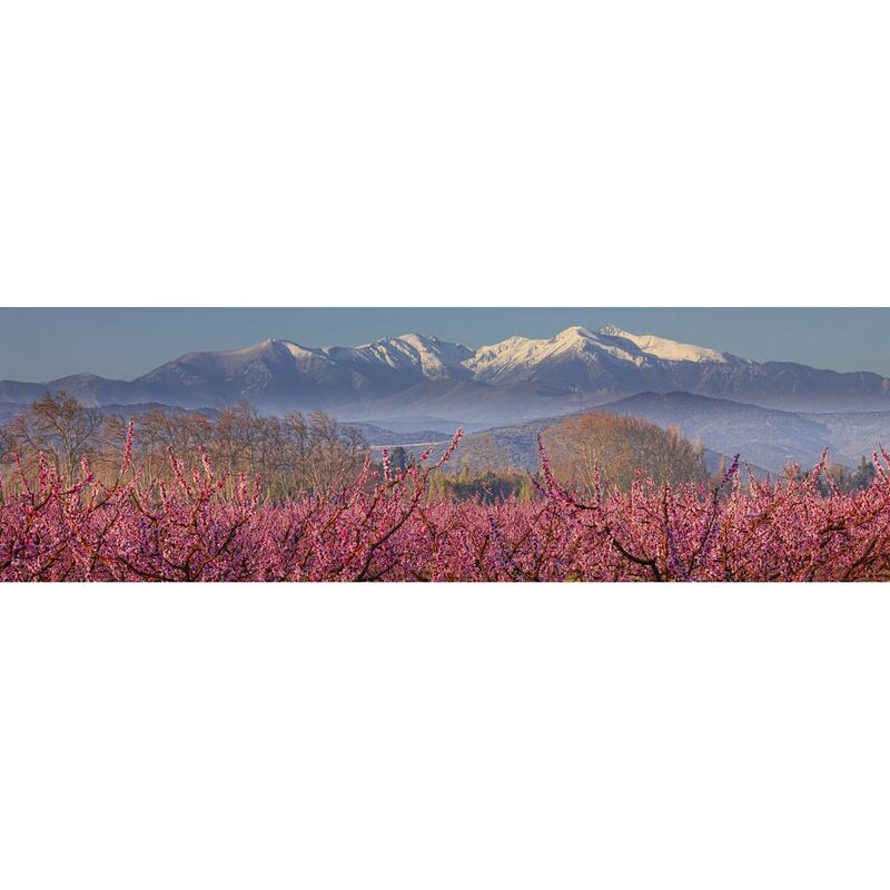 Tableau sur toile le Canigou eneigé 30x97 cm - Impression sur Toile Murale Décorative - Image imprimée en HD sur Toile - Toile sur Châssis en Bois