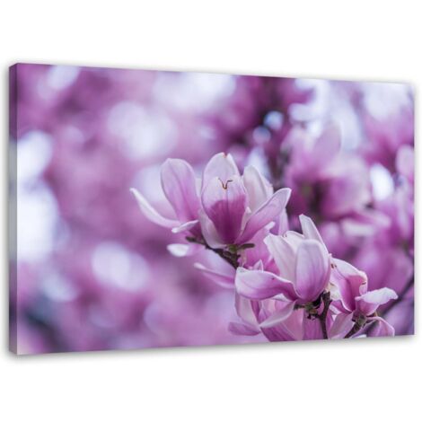 Tableau sur toile Magnolia en fleur Nature 60x40