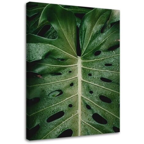 Tableau sur toile Monstera Feuilles Tropiques 40x60