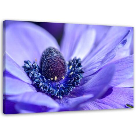 Tableau sur toile Nature Fleur Violet Violet 90x60
