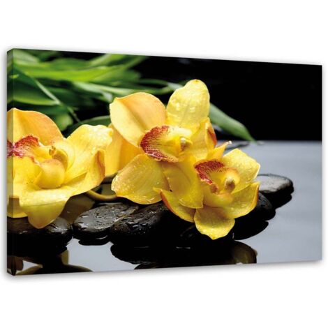 Tableau sur toile Orchidée Fleur jaune 100x70