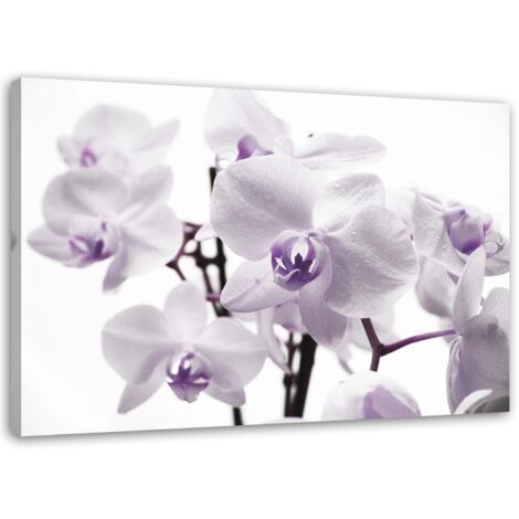 Tableau sur toile Orchidée Fleur Lila 60x40
