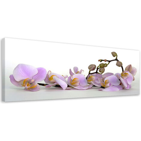Tableau sur toile Orchidée fleurie 90x30