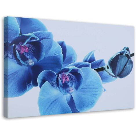 Tableau sur toile Orchidée Fleurs Bleu 60x40