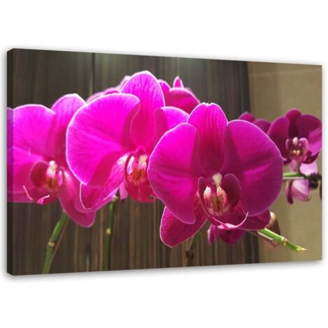 Tableau sur toile Orchidée zen Fleur rose 90x60