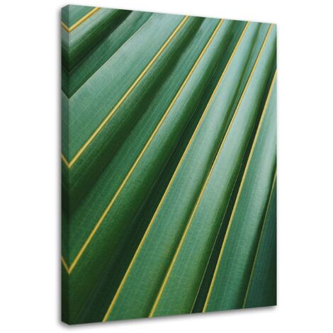 Tableau sur toile Palmier Feuilles Plante Vert 70x100
