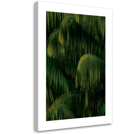 Tableau sur toile Palmiers après la pluie 60x90