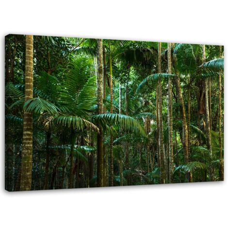 Tableau sur toile Palmiers Forêt Nature 100x70
