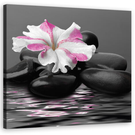 Tableau sur toile Pierres de fleur rose zen 50x50