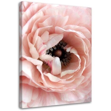 Tableau sur toile Pivoine Fleurs Rose 40x60