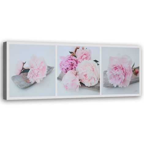 Tableau sur toile Pivoine Fleurs roses 90x30