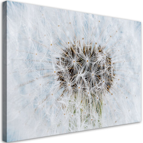 Tableau sur toile Plancherie de fleurs blanches 90x60