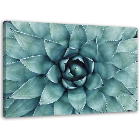Tableau sur toile Plante d'aloe vera Fleur 60x40