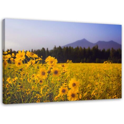 Tableau sur toile Prairie avec fleurs jaunes Montagne 60x40