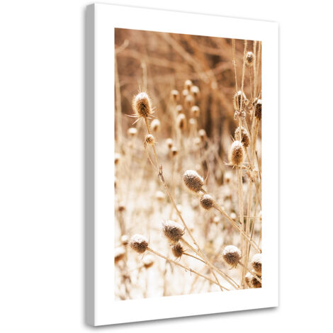 Tableau sur toile Prairie séchée avec fleurs de cardères 70x100