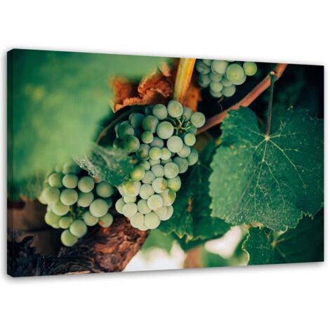Tableau sur toile Raisin Plante Raisin Fruit 60x40