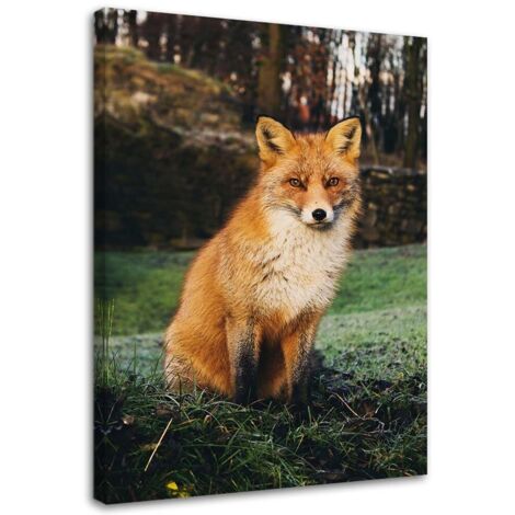Tableau sur toile Renard Forêt Nature Animaux 40x60
