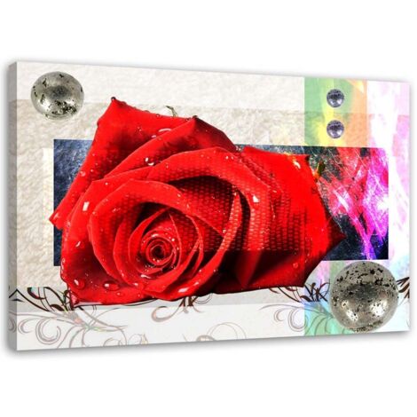 Tableau sur toile Rose rouge Fleurs abstraites 60x40