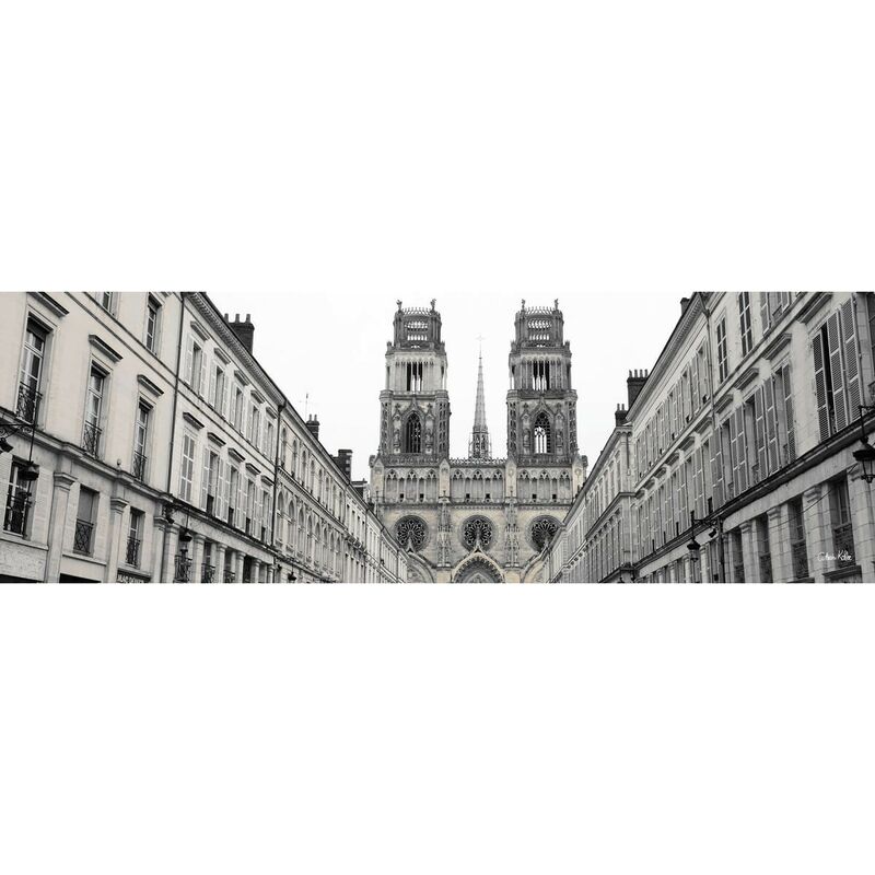 Ceanothe - Tableau sur toile rue Jeanne d'Arc Orléans 30x97 cm - Impression sur Toile Murale Décorative - Image imprimée en hd sur Toile - Toile sur