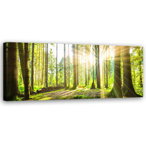 Tableau sur toile Soleil dans la forêt 90x30
