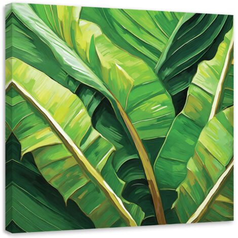 Tableau sur toile Tableau sur toile Feuilles de bananier vertes 50x50