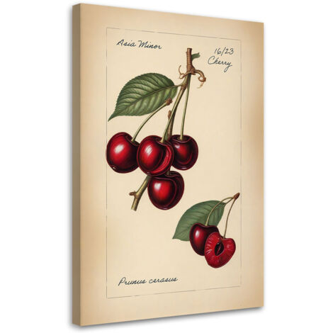 Tableau sur toile Tableau sur toile Fruits Vintage Cerise 60x90