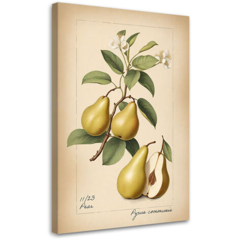 Tableau sur toile Tableau sur toile Les fruits La poire d'antan 60x90