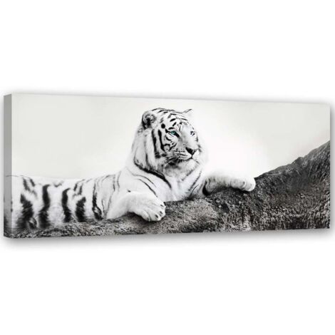 Tableau sur toile Tigre Afrique Animaux 90x30