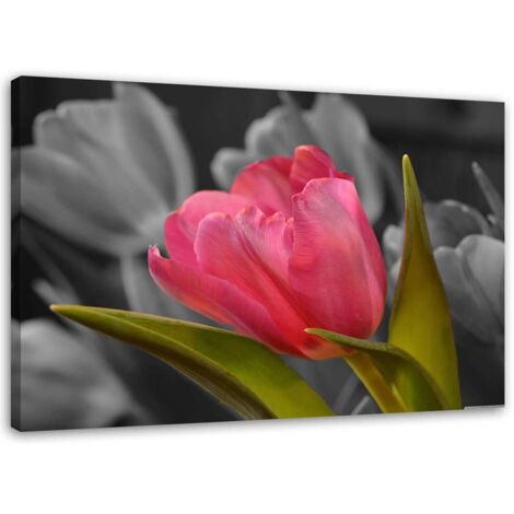 Tableau sur toile Tulipe rouge Fleurs Nature 60x40