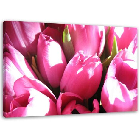 Tableau sur toile Tulipes Fleur rose 60x40
