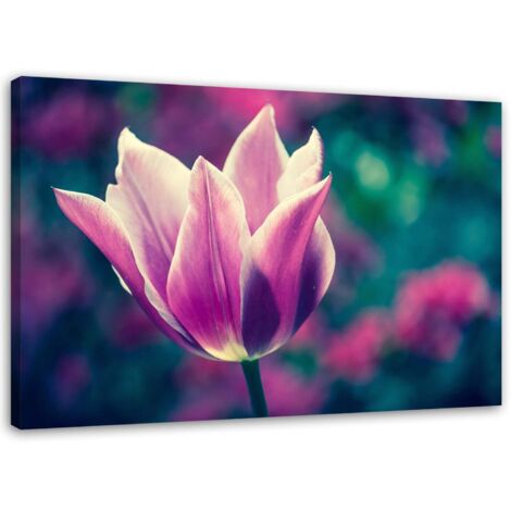 Tableau sur toile Tulipes fleurs nature lilas 60x40