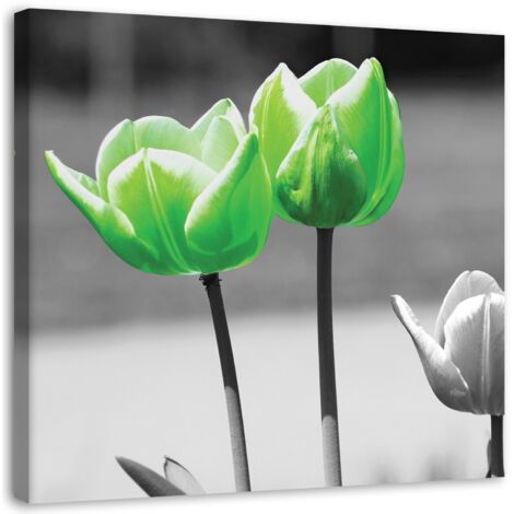 Tableau sur toile Tulipes Fleurs Vertes 50x50