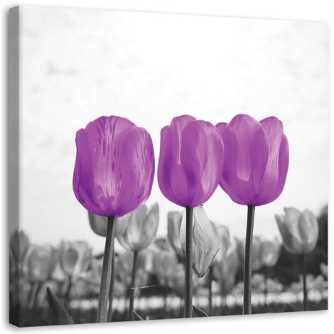 Tableau sur toile Tulipes prairie nature fleur Lila 50x50