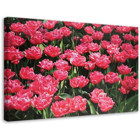 Tableau sur toile Tulipes roses Fleurs Nature 100x70