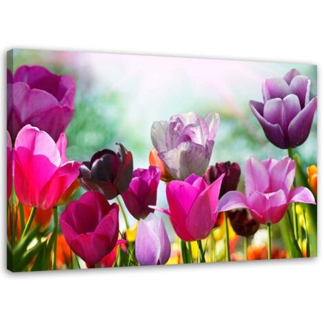 Tableau sur toile Tulipes Violet Fleurs Nature 90x60