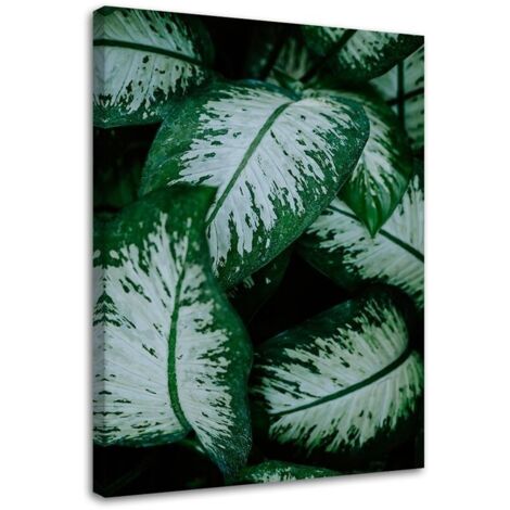 Tableau sur toile Vert Feuille Nature Plante 40x60