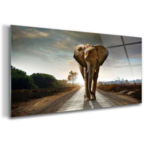 Tableau sur verre – 100 x 50 cm - Tableau mural décoratif - Verre Décorative - Coucher de Soleil Safari