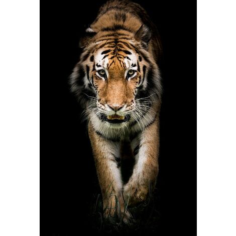 Tableau Tiger - Animaux - pour Salon, Chambre - Multicolore en Bois, coton, 60 x 120 x 3 cm