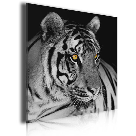 Modèle Affiche Tigre Noir Et Blanc