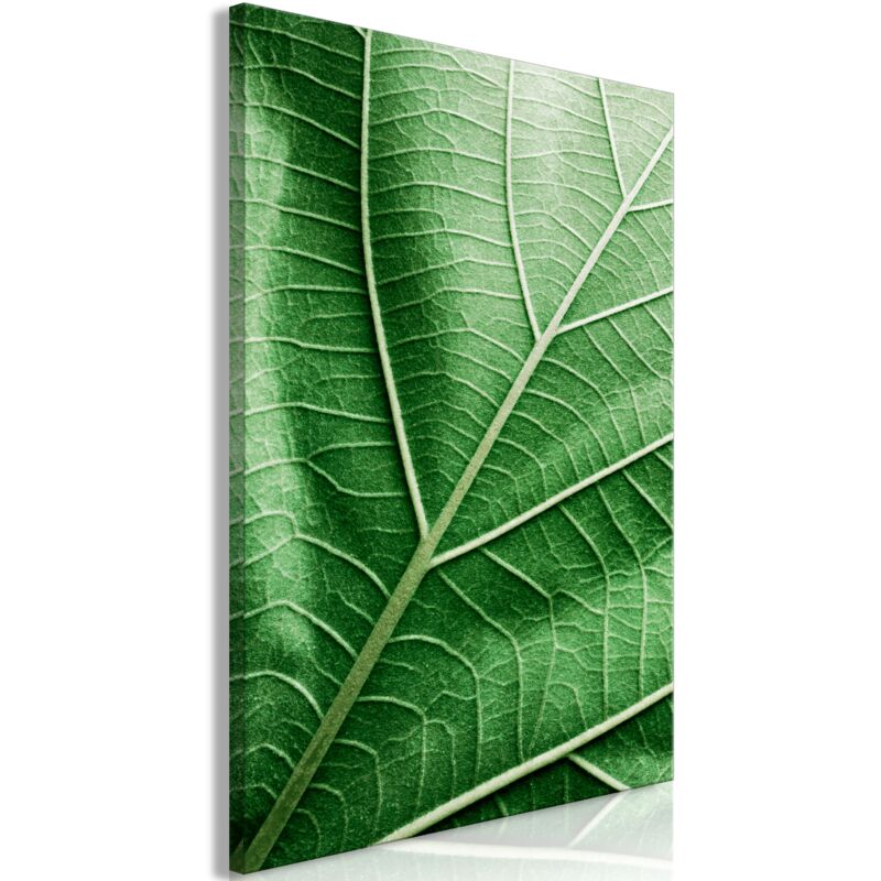 Tableau toile de décoration murale impression premium en 1 partie sur châssis en bois motif Feuille de malachite 40x60cm 110016052