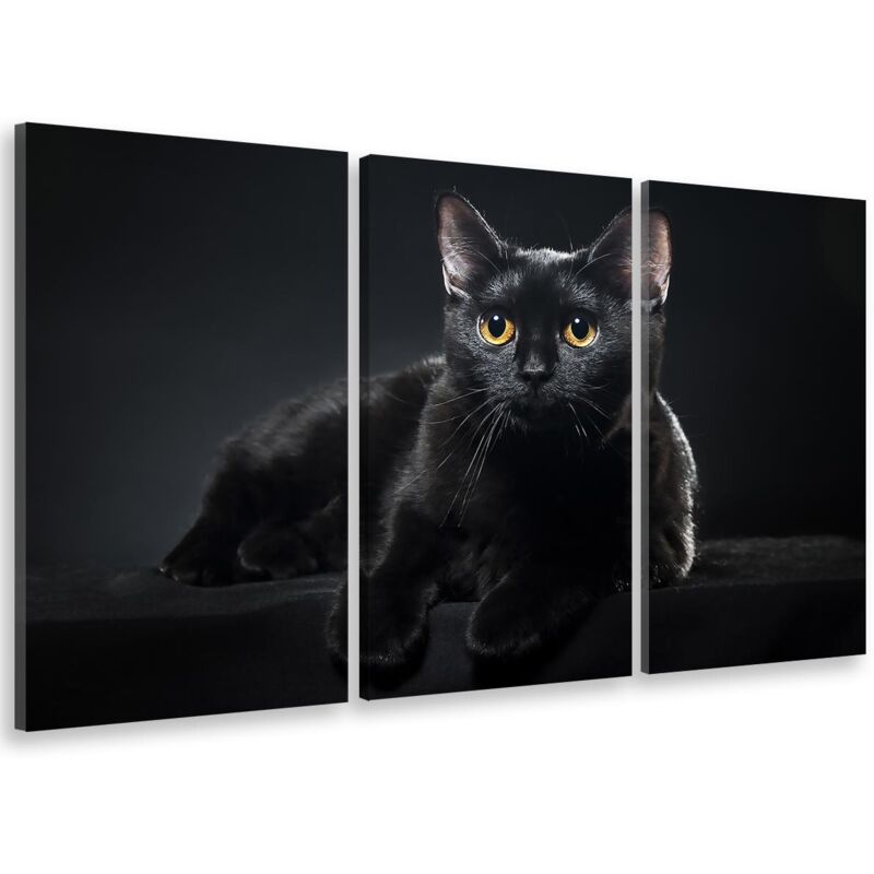 Hxadeco - Tableau triptyque animaux petit chat noir aux yeux jaunes - 90x60 cm