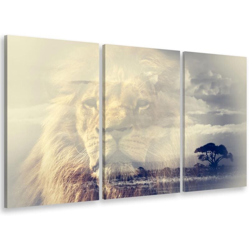 Hxadeco - Tableau triptyque animaux reflet du roi lion - 90x60 cm