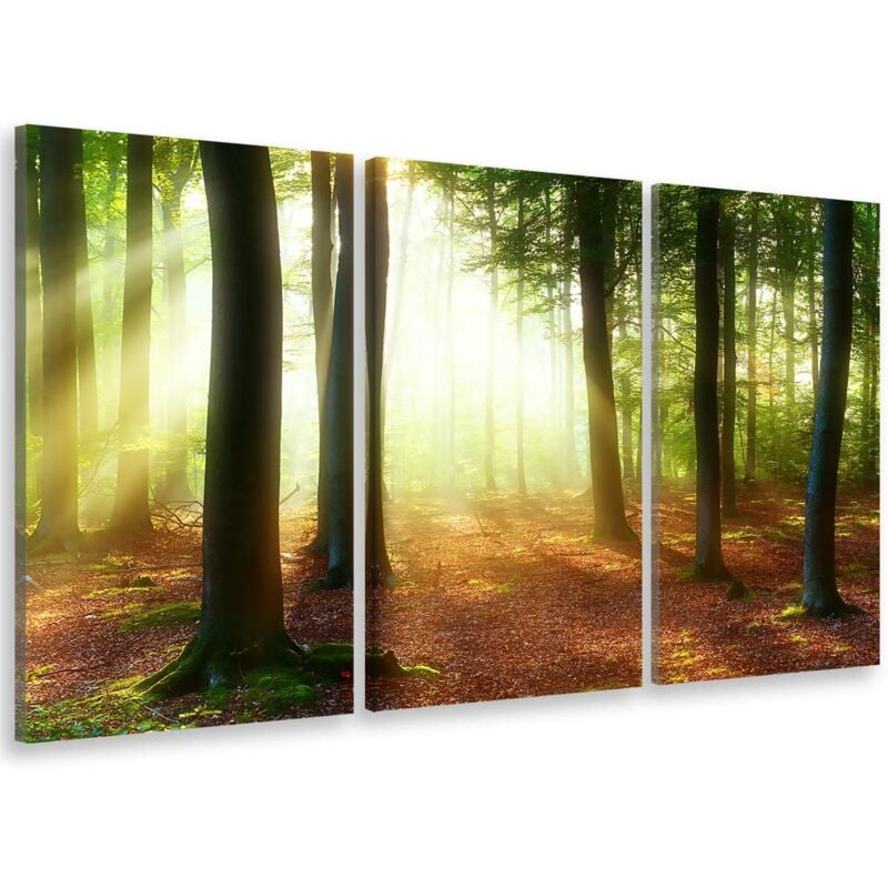 Hxadeco - Tableau triptyque paysage raie de lumière en forêt - 90x60 cm