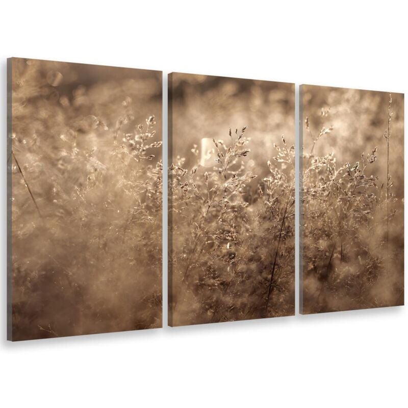 Hxadeco - Tableau triptyque Tableau photo herbes séchées dans la lumière matinale - 90x60 cm