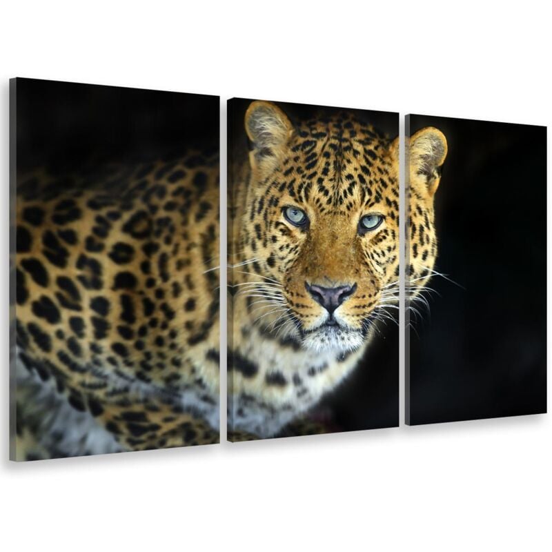 Hxadeco - Tableau triptyque Tableau photo léopard de zanzibar - 90x60 cm