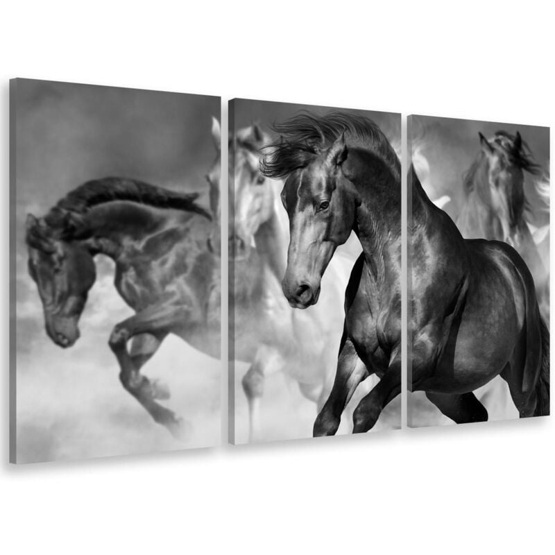 Hxadeco - Tableau tryptique, Tableau cheval sauvage en plein galop, 90x60cm