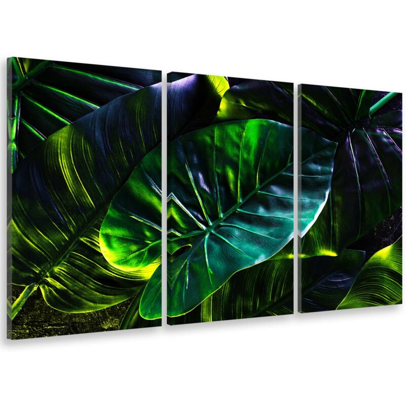Hxadeco - Tableau tryptique, Tableau feuilles tropicales en forêt amazonienne, 90x60cm