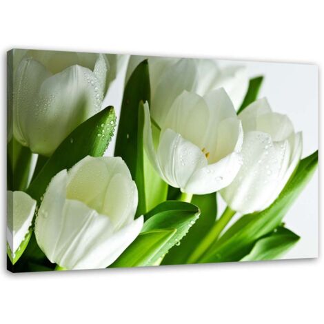 Tableau, Tulipes blanches - 120x80