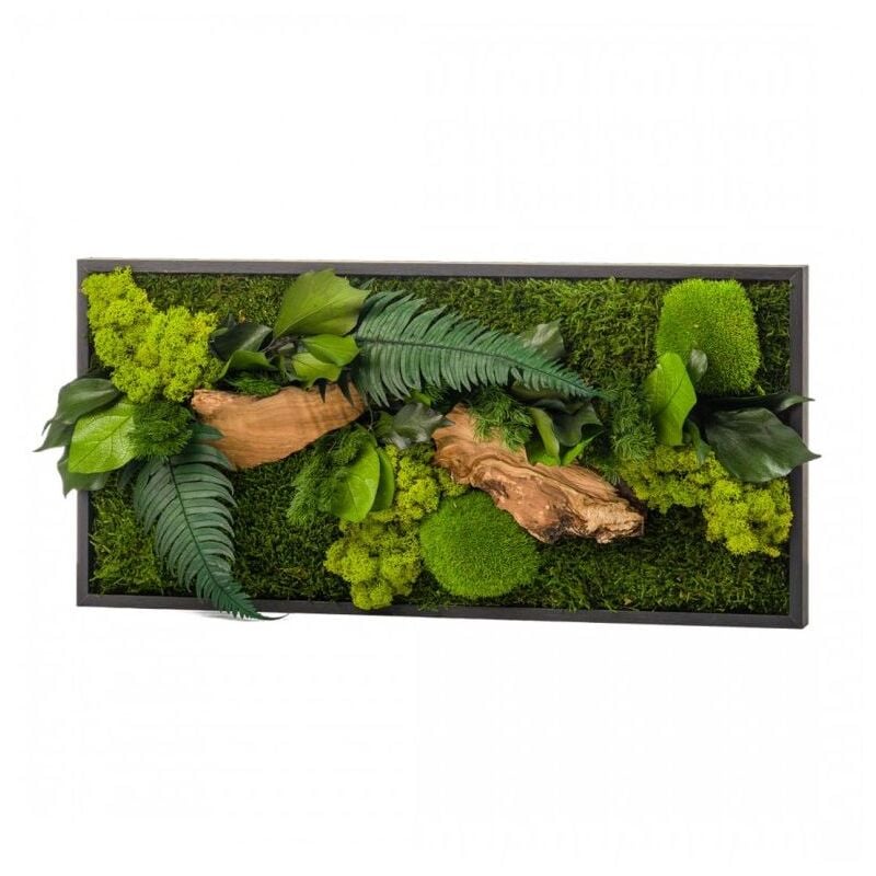 Naturalys - Tableau végétal canopee rectangle 27 x 57 cm