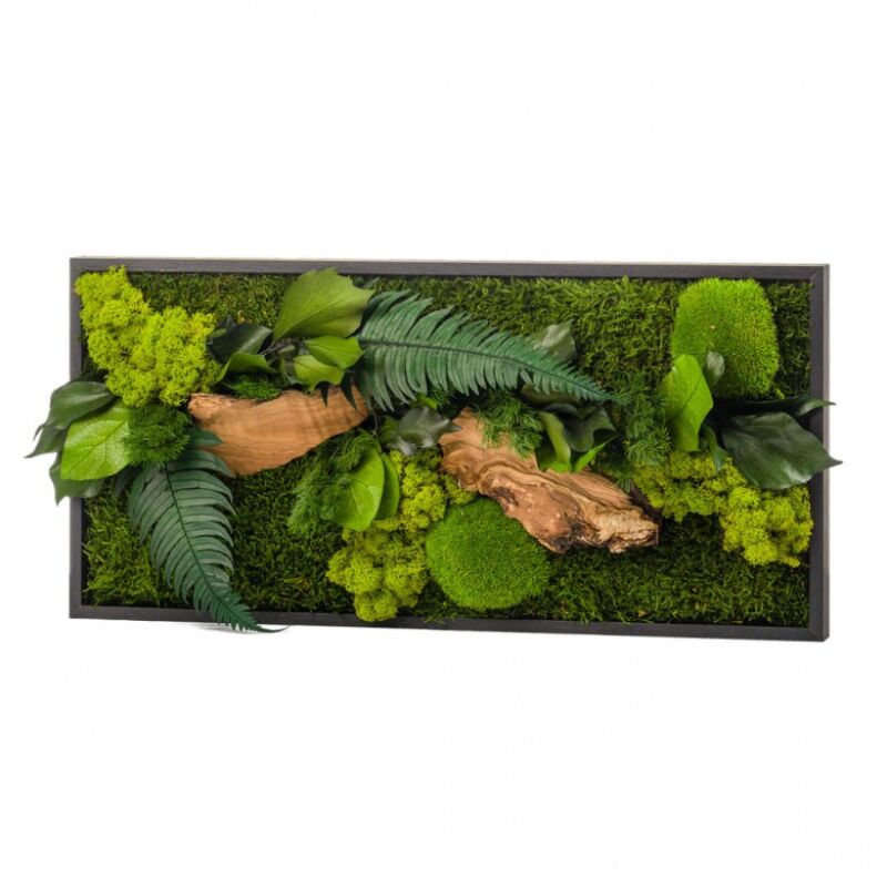 Naturalys - Tableau végétal mural stabilisé 57cm Noir
